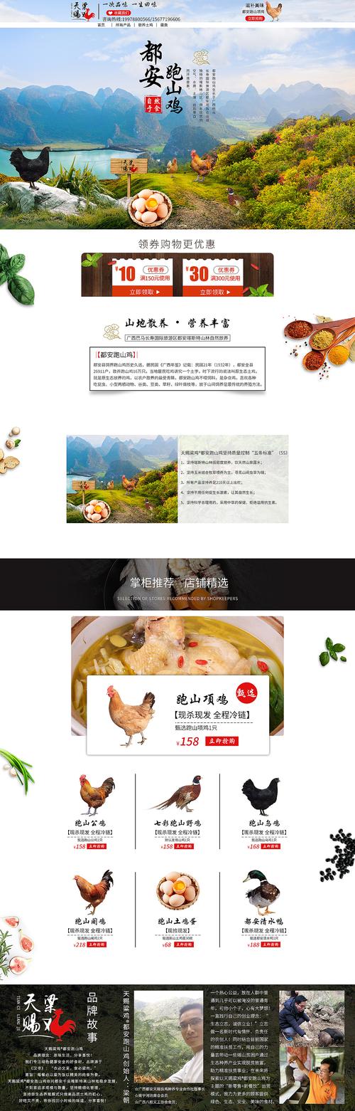 家禽设计 从农场到家居的创新融合